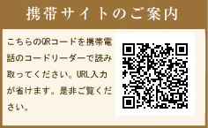 ���ӥ����ȤΤ����� QR������